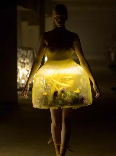 Paris Fashion Week: People react to models in lamp dresses with live  butterflies