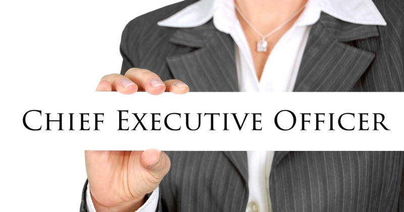 Average Salary Of An Indian CEO Is Almost Rs 14 Crore, 40 Percent More