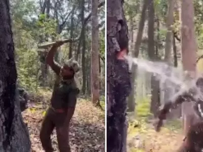 A Forest Official Hacks Into A Tree, Causing Water To Gushe Out In Andhra Pradesh