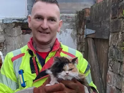 An Internet Meme Has Taken Off After This Rescued Feline Was Tagged As Furious