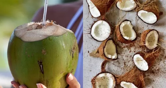 Tender Coconut VS. Regular Coconut: Which Is A Healthier Choice For You?