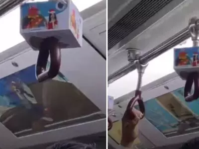Kolkata Metro Screens Tom And Jerry Inside Trains, Triggering Nostalgia Wave