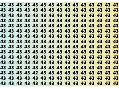 Number 42 Is Hidden In This Image Using Optical Illusion