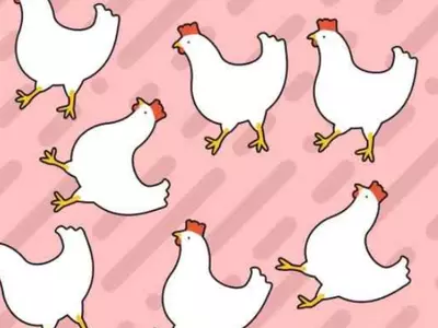 Optical Illusion Spot The Odd Chicken In 7 Seconds