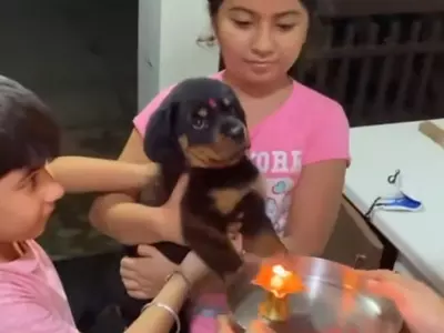 You'll Be Touched By This Video Of A Family Welcoming Puppy With Aarti