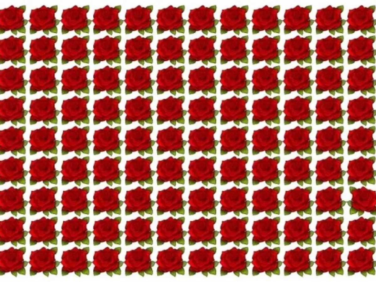 You've Got Ten Seconds To Spot An Odd Rose Out This Optical Illusion With High IQ