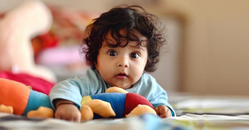 Adoption In India Crosses 4000, Reaches Pre-Pandemic Levels But Process ...