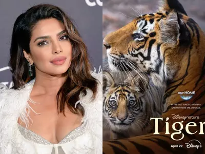 Priyanka Chopra Jonas Roars With 'Tiger', Actress To Lend Her Voice For The Film