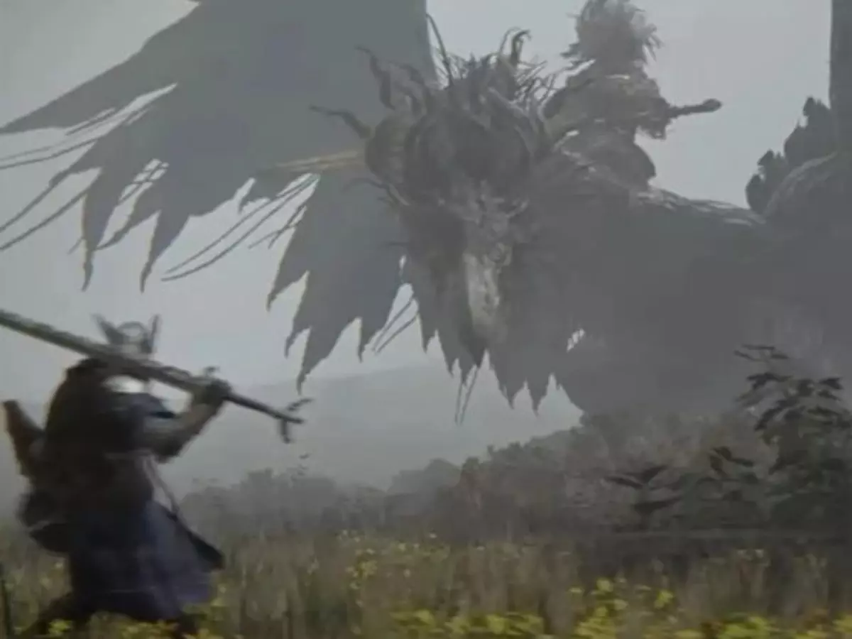 The Elden Ring Nightreign A new survival game announced