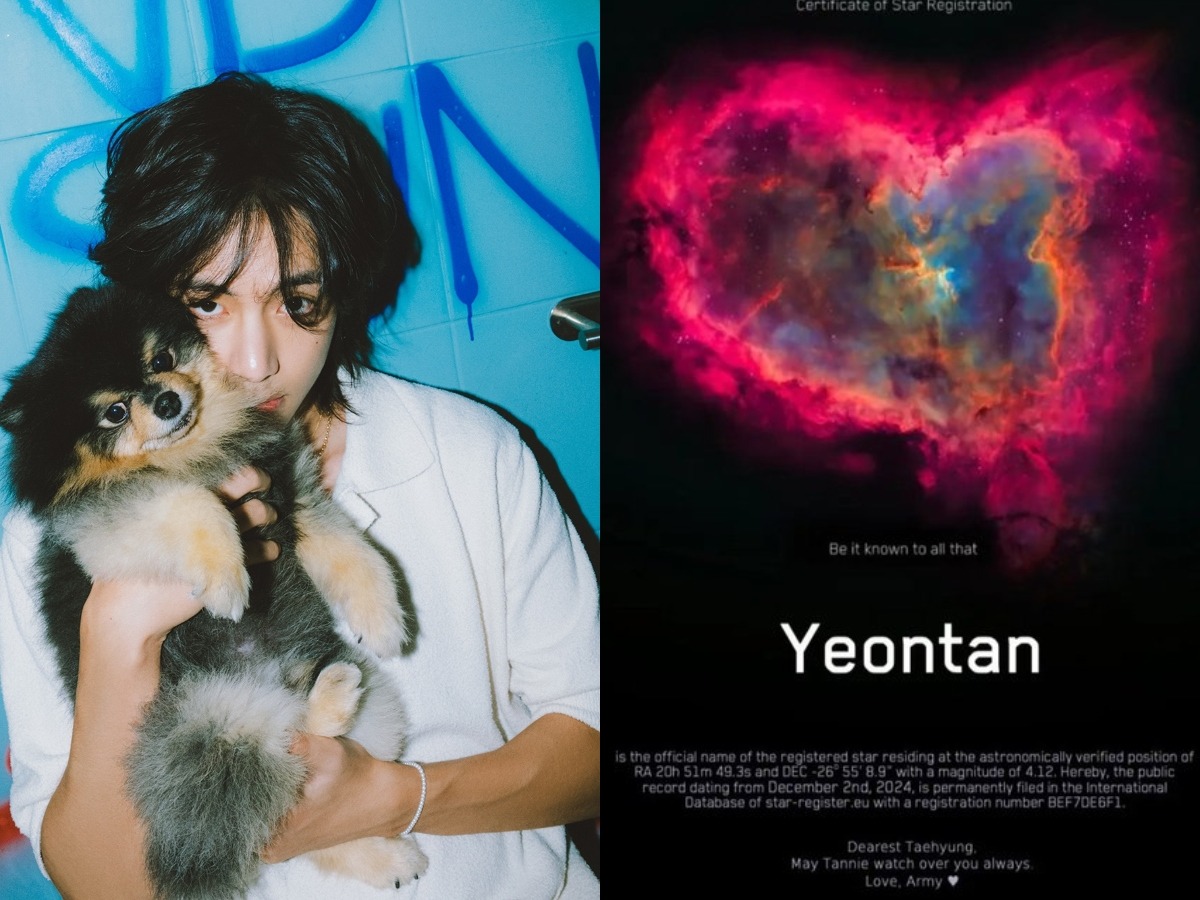 Yeontan Star: Fan Buys Star In Memory Of BTS' V's Dog After This Death ...