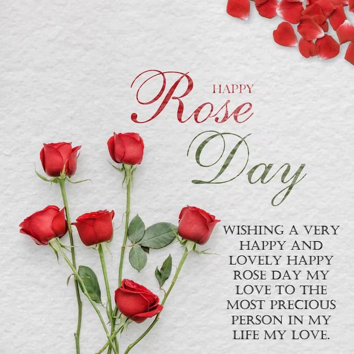 100+ Rose Day Wishes, Messages, Quotes, Status, Images, Captions To ...