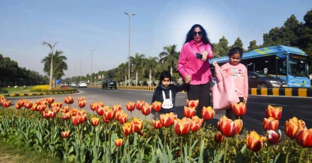 12-Day Tulip Festival In Delhi: All You Need To Know