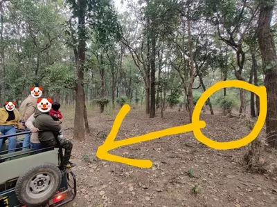 Dehradun Man's Post About 3 Jokers, 1 Kid And 1 Tiger Tourists' Foolish Stunt In Jungle Goes Viral