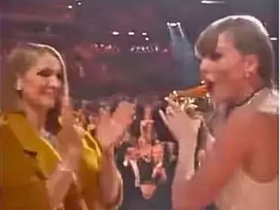 Did Taylor Swift Ignore Celine Dion At Grammys 2024 