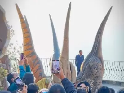 'Dinosaurs' Groove To Nach Punjaban In Pakistan