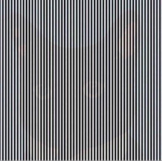 Find The Animal Hidden Among The Lines In This Optical Illusion With High IQ