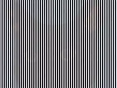 Find The Animal Hidden Among The Lines In This Optical Illusion With High IQ