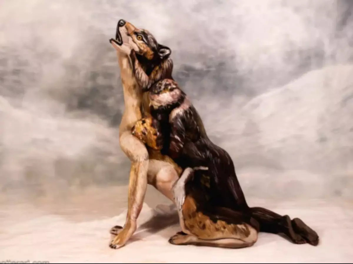 Find The Three Additional Humans Hidden On The Wolf Body Using This High IQ Optical Illusion Find The Three Additional Humans Hidden On The Wolf Body Using This High IQ Optical Illusion
