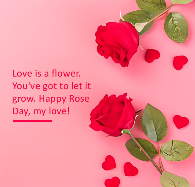 Happy Rose Day 2024 Wishes Messages SMS Quotes Images And WhatsApp   Happy Rose Day 2024 Wishes2 65c2035eb1e18 