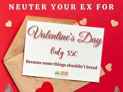 In Celebration Of Valentine's Day An Animal Shelter Surprises People With A Program Called Neuter Your Ex