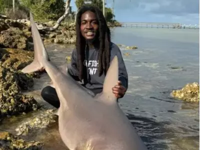 Man Picks Up Live Shark With Bare Hands Like It's No Big Deal