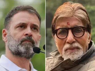 From Sona Mohapatra To Amitabh Bachchan, Celebs React After Rahul Gandhi 'Insulted' Aishwarya