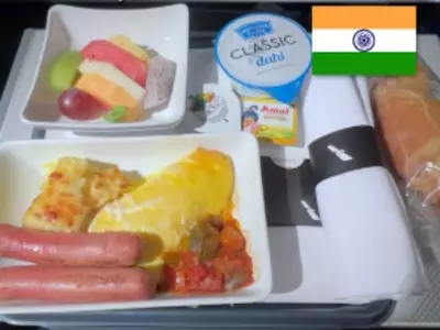 Vlogger Compares American And Indian Food On A Flight