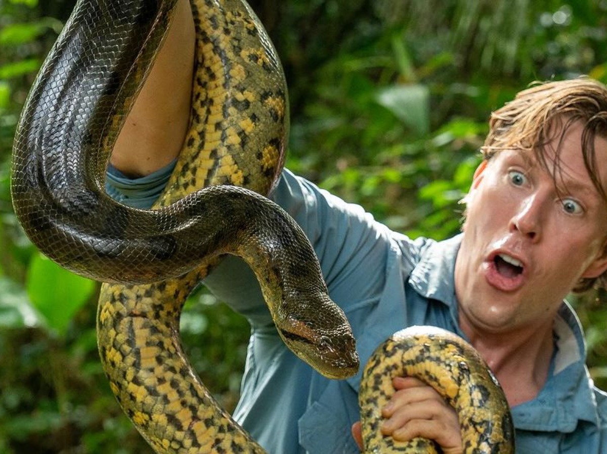 New Species Of Green Anaconda Discovered In Amazon, Could Be The