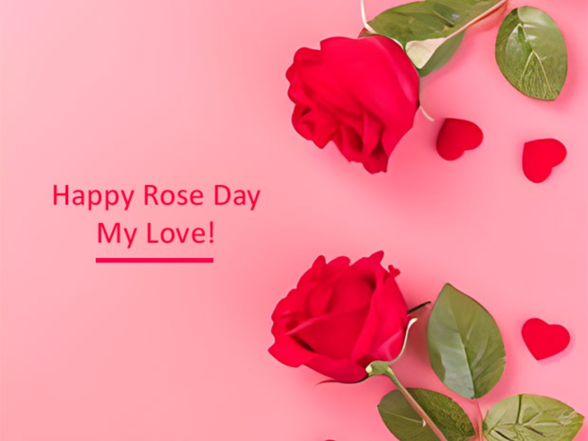 Rose day for sales girlfriend