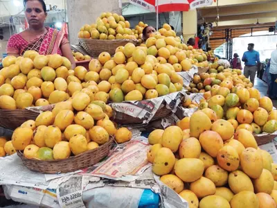 mancurad mangoes