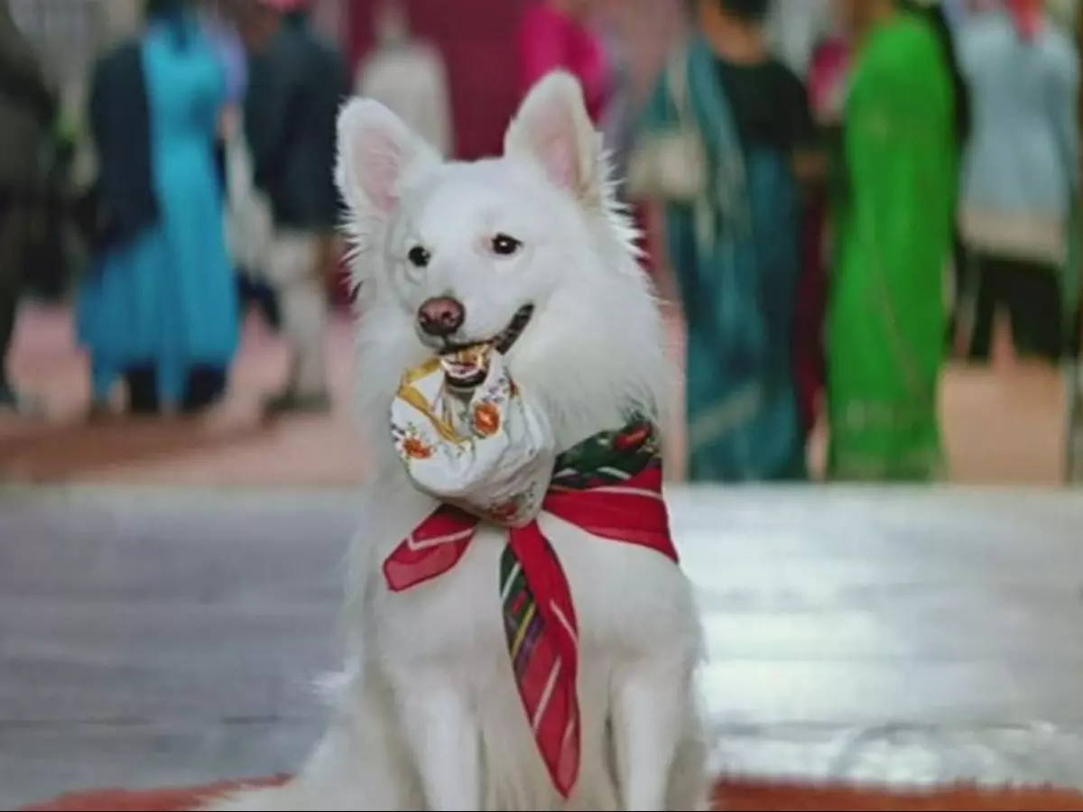 Here's What Happened To Tuffy From 'Hum Aapke Hain Kaun'