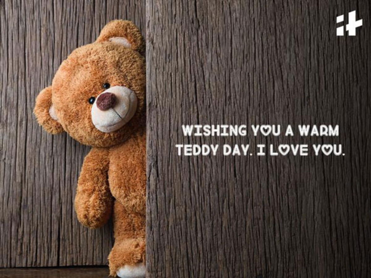 Teddy day for store wife