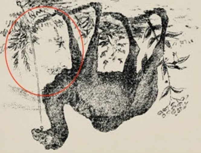 The image of the camel has an optical illusion on the hidden side