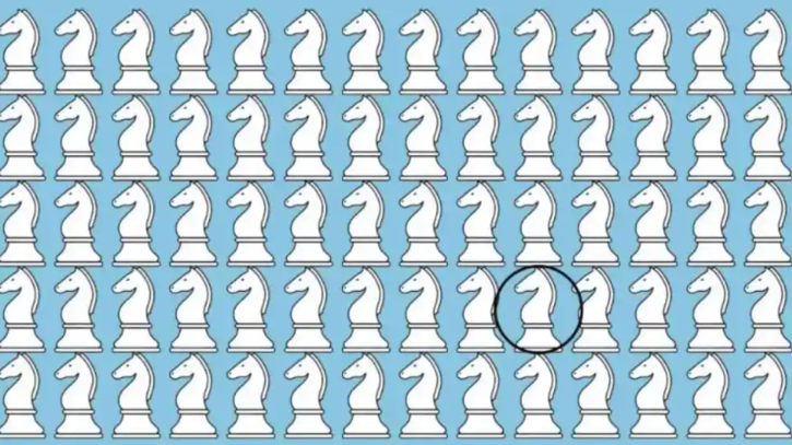 Optical illusion: find the strange one among the chess pieces