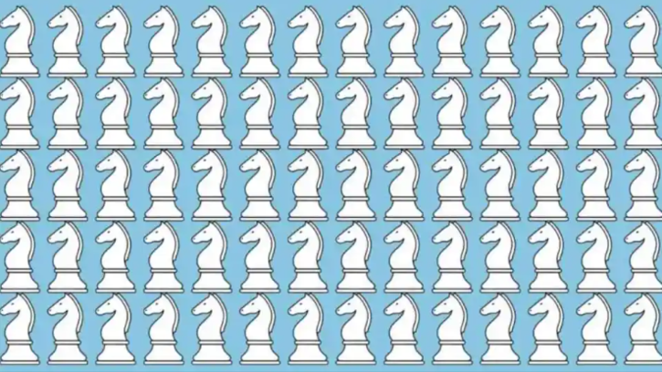 Optical illusion: find the strange one among the chess pieces