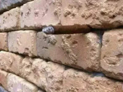 The Viral Optical Illusion Spot The Everyday Object In These Bricks And You're Smart