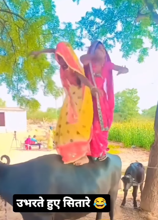 There is a breach on the Internet after a video of two women dancing on top of a buffalo goes viral