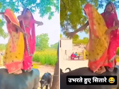 There Is A Rift On The Internet After A Video Of Two Women Dancing Atop A Buffalo Goes Viral