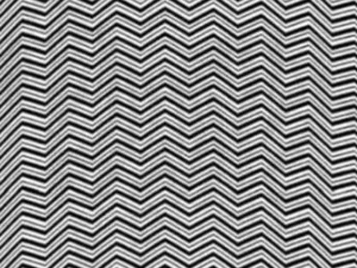 Try To Find The Hidden Animal In This Zig Zag Pattern Optical Illusion