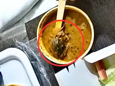 UP Man Finds Dead Rat in Veg Meal
