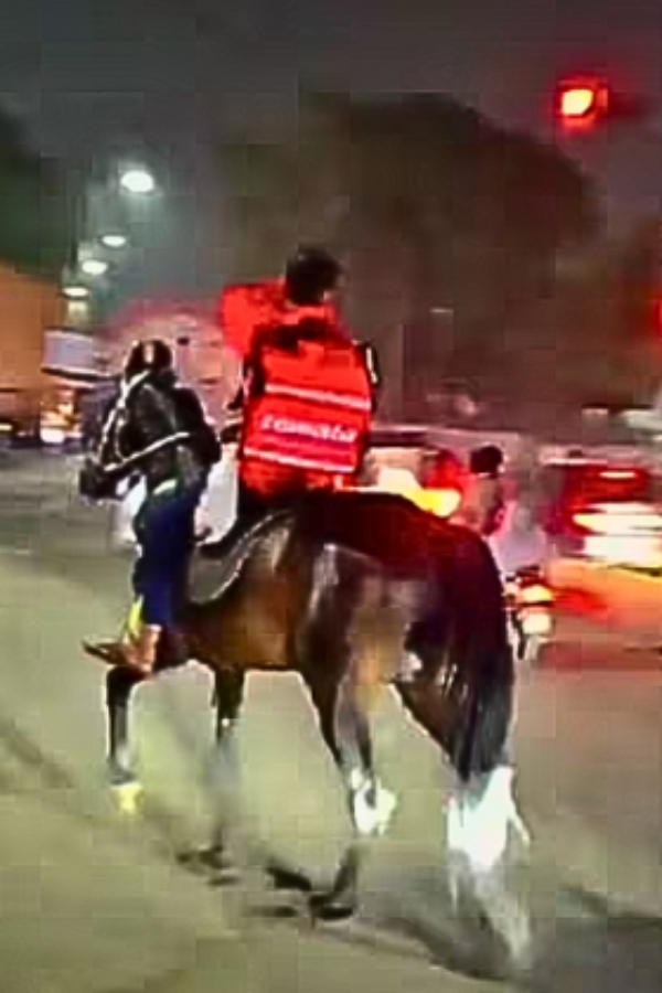 Zomato agent rides a horse for deliveries