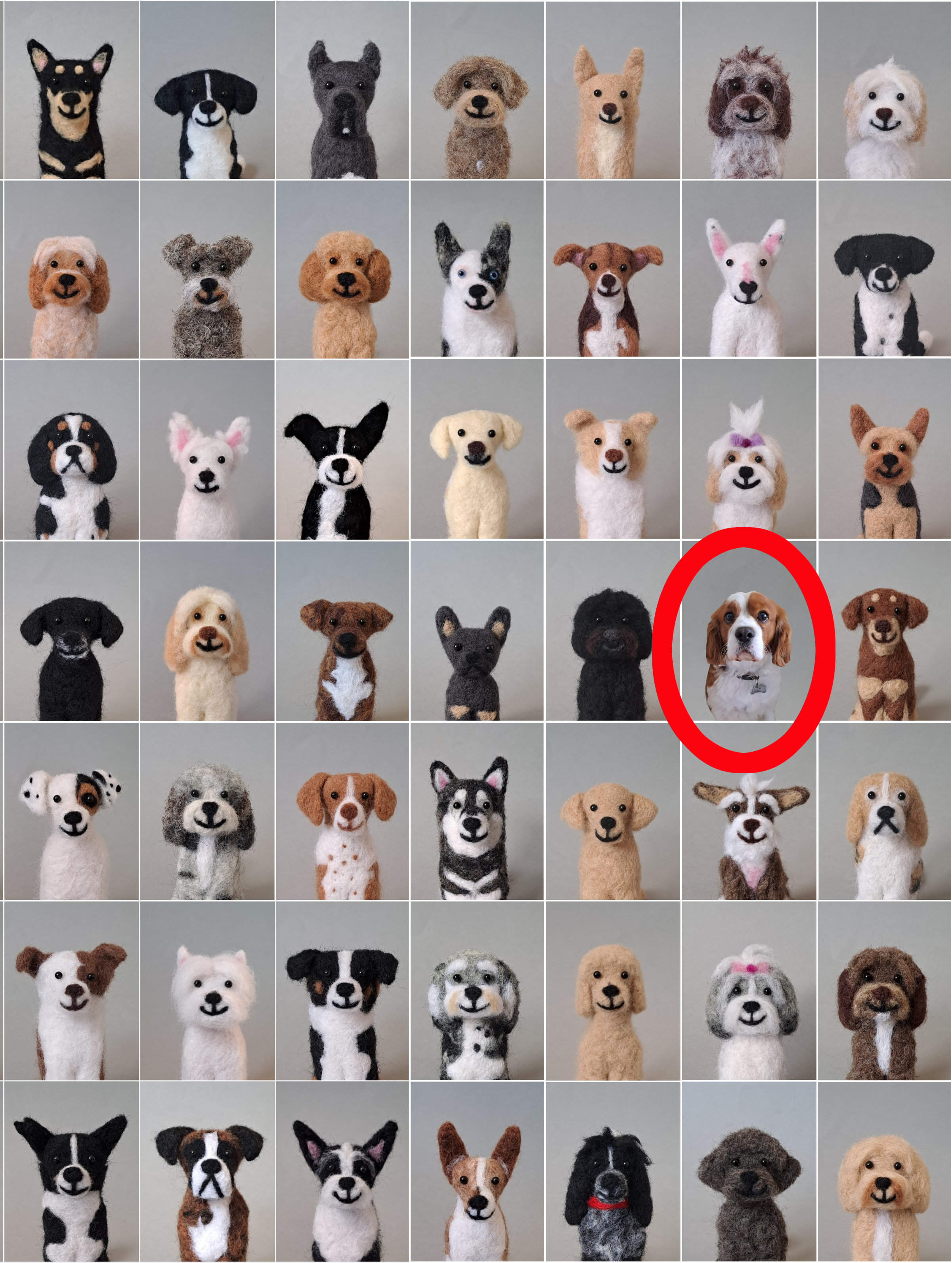 Optical illusion: which of these 49 dogs is real?