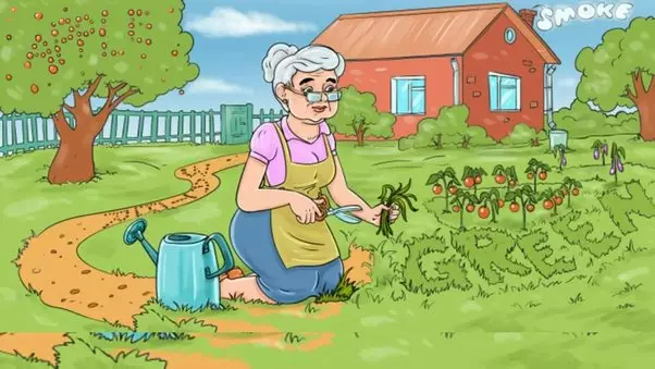 Spot the four hidden words in the garden in 7 seconds