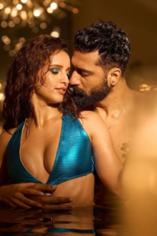 Vicky Kaushal-Triptii Dimri's Bad Newz X review