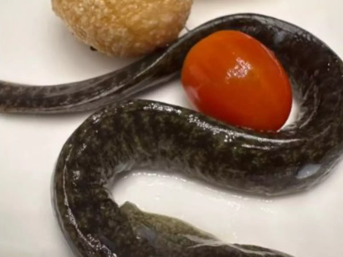 Golgappas stuffed with live eel