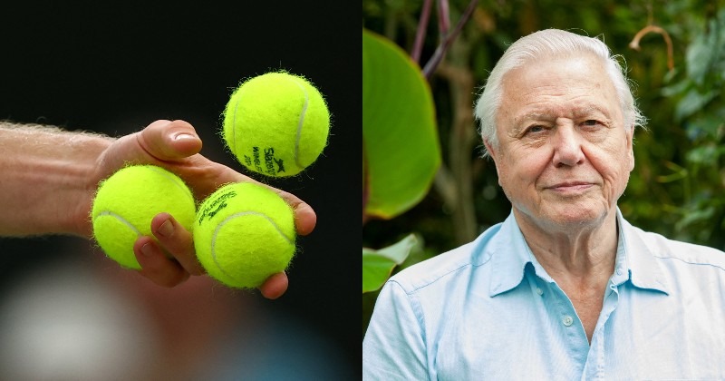 Wimbledon tennis balls are yellow and it is because of Sir David Attenborough!