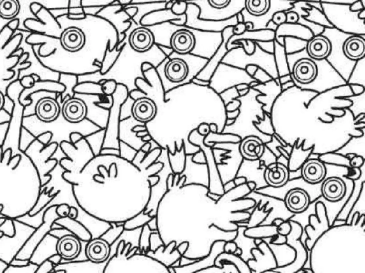 Brain teaser Spot the hidden bicycle among these turkeys in 12 seconds