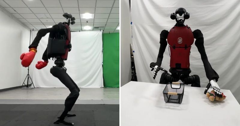 These robots learn boxing and piano by observing 40 hours of human movement data