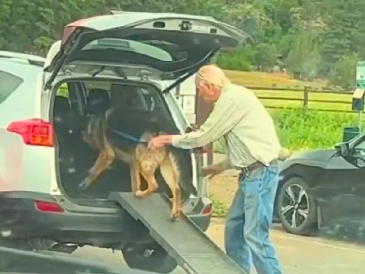 Viral video Man builds ramp for his elderly dog
