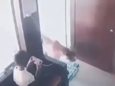 A 12-year-old Traps A Leopard In His Room, And Netizens Praise His Bravery